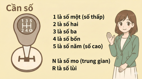 Sơ đồ cần số